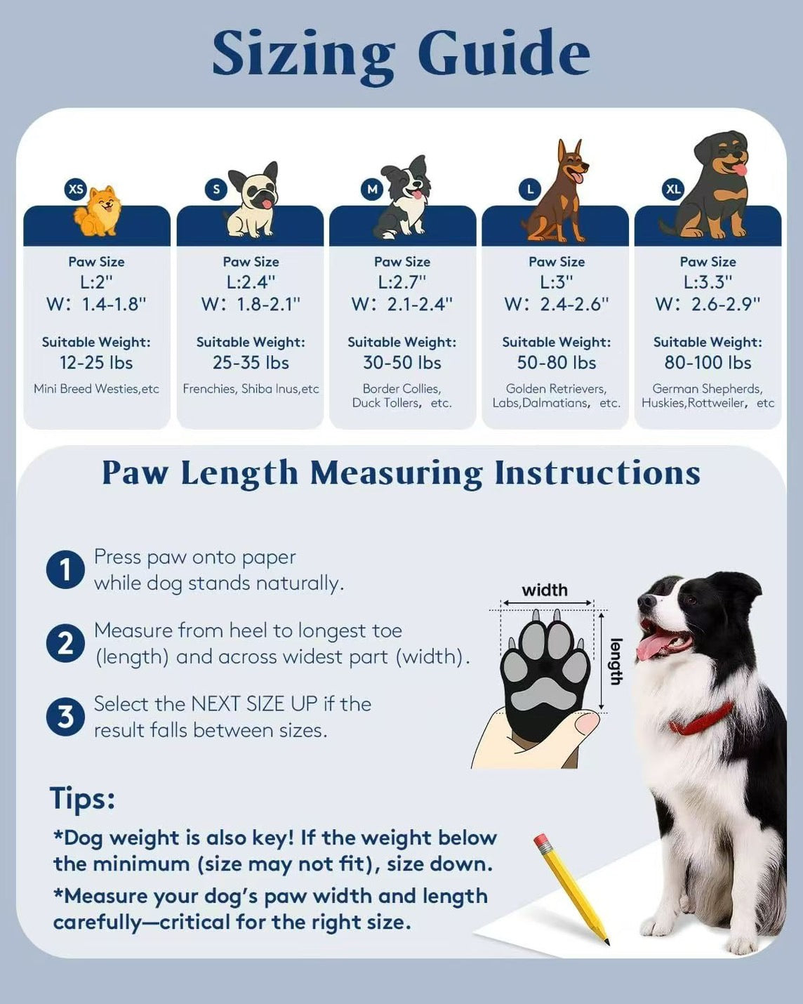 Hachi PawPops™ — Set of 4