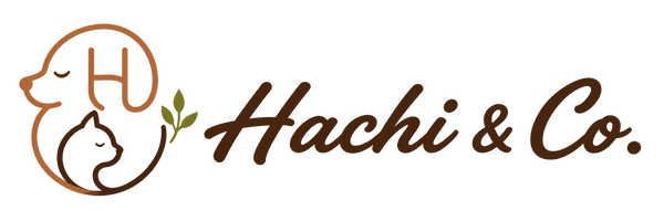 Hachi & Co.